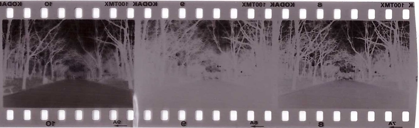 Scan_20160212_003526